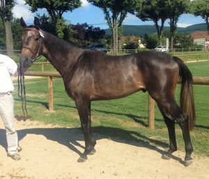 EXTRA 300x257 - Extra de Blancheville