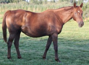 Jolie 300x219 - Jolie de Blancheville