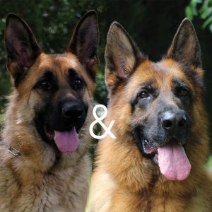 Léna et ithan 300x300 - Léna-et-ithan