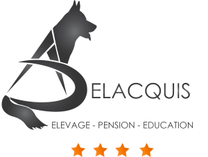 Logo transparent avec contour 300x227 - Logo transparent avec contour