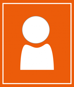 orange 254x300 - orange