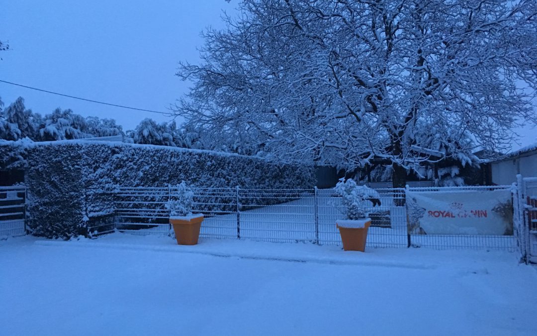 Elevage et Pension sous la neige