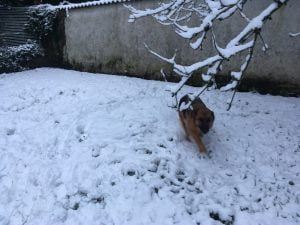IMG 4835 300x225 - IMG_4835