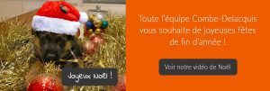 Accueil noel 300x101 - Accueil---noel