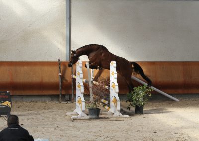 IMG 0802 400x284 - Victorieuse Fana de Blancheville