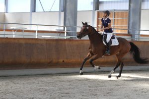 IMG 0994 300x200 - IMG_0994
