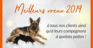 nouvel an post photo2 300x154 - nouvel an post photo2