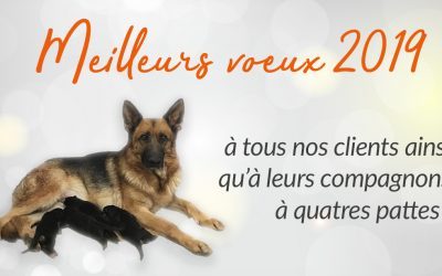nouvel an post photo2 400x250 - Actualités