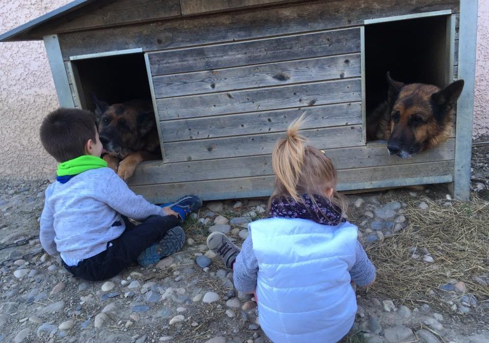 Chacun son chien !