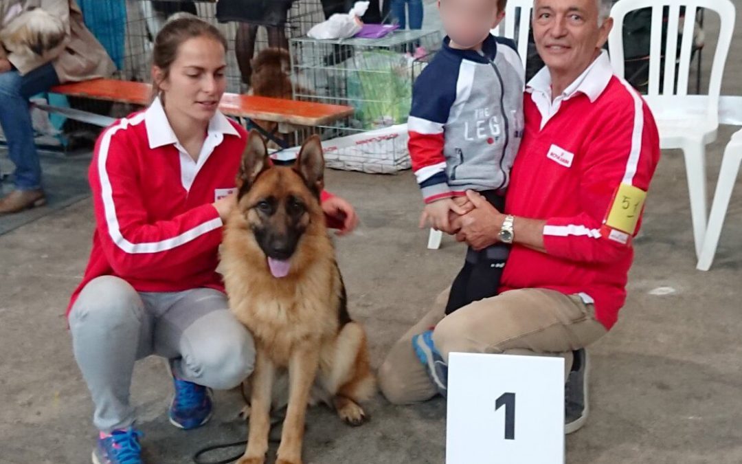 Une belle victoire à l’exposition canine internationale 2019 !