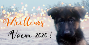 nouvel an post 2020 300x154 - nouvel an post 2020