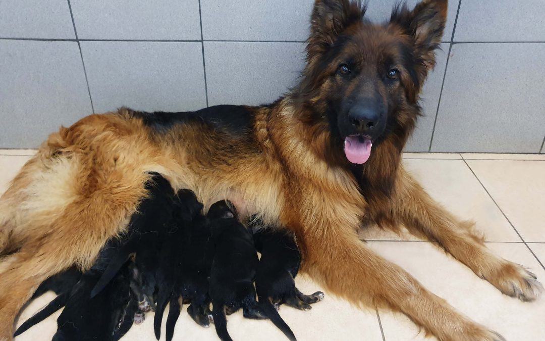 De la naissance au 1er mois