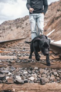 adam thomas qmT4p4gnLmg unsplash 200x300 - adam-thomas-qmT4p4gnLmg-unsplash