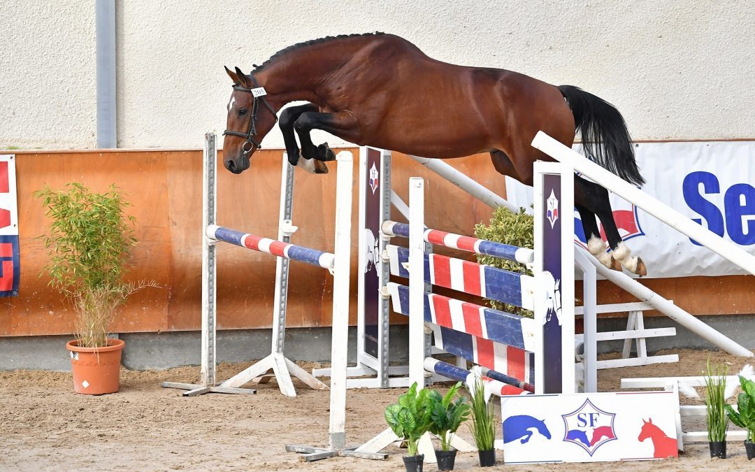 I am de Blancheville - Saut en liberté
