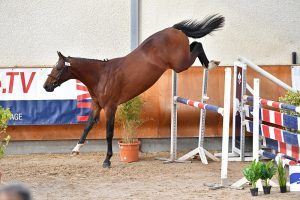 I am Saut 300x200 - I am Saut