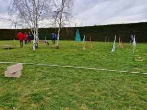 IMG 20210124 WA0000 300x225 - Concours d'éducation canine Combe-Delacquis: une belle réussite !