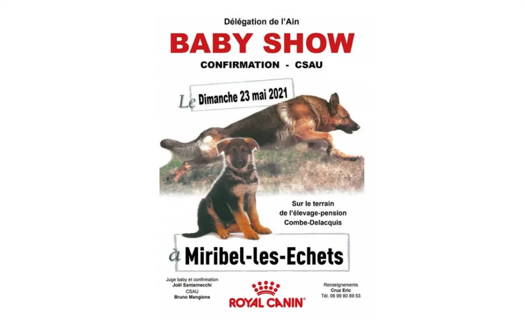 Baby Show et Confirmation Berger Allemand – C.S.A.U. le 23 mai 2021: à Miribel (01)