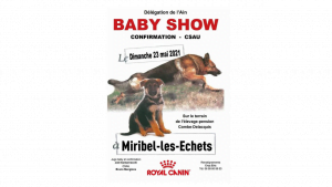 baby show confirmation berger allemand delacquis 300x169 - baby show confirmation berger allemand delacquis