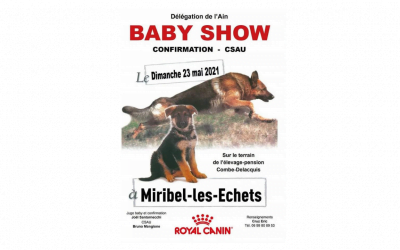 baby show confirmation berger allemand delacquis 400x250 - Actualités