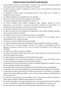 CANI RANDO 210x300 - CANI-RANDO