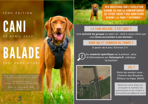Sans titre 2022 03 21T130640.609 300x212 - Sans titre - 2022-03-21T130640.609