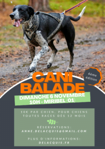 cani 2 212x300 - cani (2)