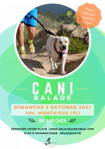 cani balade comb e delacquis 212x300 - cani balade comb e delacquis