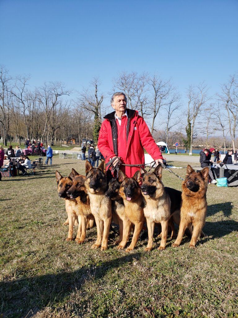 20220305 094440 768x1024 - Exposition canine toutes races - Valence 2022 : un succès pour l'élevage de Bergers Allemands des Nacrés de Vénus